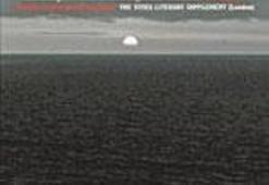 Postmodern kovboy romanı