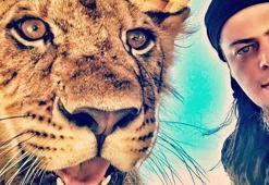 Aref'i ısıran zehirli yılan türleri evlerimize de girebilir