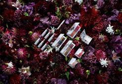 Erdem for NARS Strange Flowers koleksiyonu