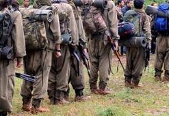PKK Kandil’den panikle kaçıyor