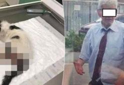 Son dakika... Korkunç! Yine sarsıldık…