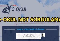 E Okul karne notu (E-Okul takdir teşekkür puanı hesaplama)