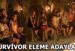 Survivor'da eleme adayları kimler oldu? 2. dokunulmazlık oyunu...