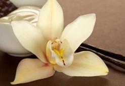 Aromatik cazibe vanilya