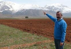 TKP’li Başkan, hazine arazisine ektiği ürünleri yoksullara ücretsiz dağıtacak