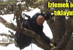 Alman turist ağaçta asılı kaldı !