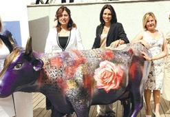 SOKAKLARI İNEKLER BASTI