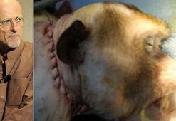 Dünyayı sarsan gelişme