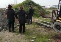 Barınakta boğazı kesilerek öldürüldü
