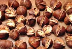 Kestanenin bitmeyen faydaları nelerdir?