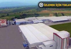 Son dakika: Büyük FETÖ operasyonu! Süt devinin sahibi de tutuklandı