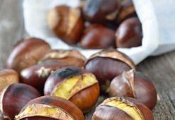 Kestanenin faydaları ve zararları nelerdir?