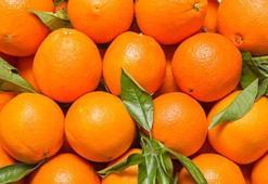 5 günde nasıl kilo verilir?