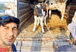 ‘Birlik Beraberlik’ adı altında vurgun