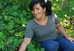 Silaj makinesine kaptırdığı kolları koptu