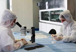 Yerli implantlar Amerikan pazarına giriyor