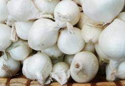 Arpacık soğanın faydalarını biliyor musunuz?