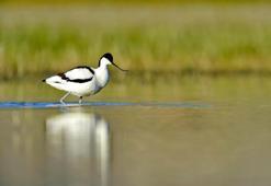 Burdur Gölü için 1 milyon kişi seferber oldu