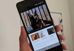 Google Lens daha fazla Android cihaza geliyor