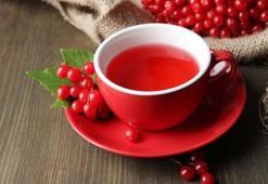 Gilaburu suyu