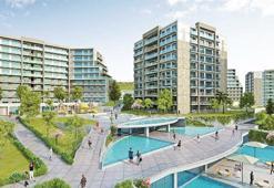 Kasımda en çok satan oldu talep, erken satışı getirdi