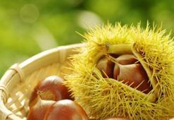 Gülen kestanelere bayılacaksınız!