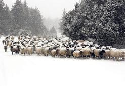 Antalya’ya 23 yıl  sonra kar yağdı!