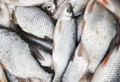 30 dakikada hazır olacak pratik yemek tarifleri