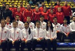 Hollanda'ya tokat gibi cevap! 12 madalya...