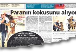 Polis köpeği ve tayin