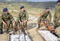 Eşek Adası'nda kuzu çevirdiler!