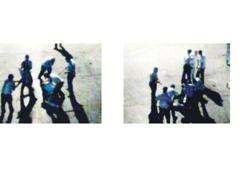 Polis dayağı: Polisin başına polis mi dikmeli?