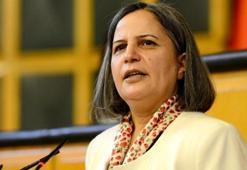 BDP'den Demokratikleşme Paketi açıklaması