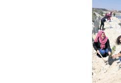 301 madenci  anısına fidan