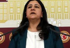 HDP'li vekile "Külter" fezlekesi