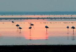 Bilinçsiz sulama kurutuyor