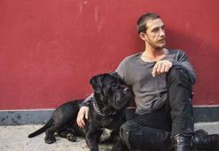 Mithan Can Özer Sony'de