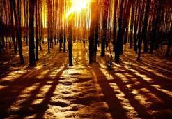 Kış güneşi intihara sürükleyebiliyor!