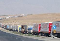 50 milyon dolarlık Türk tavuğu sınırda bekletiliyor
