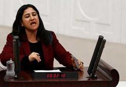 HDP'li Çağlar Demirel hakkında fezleke hazırlandı