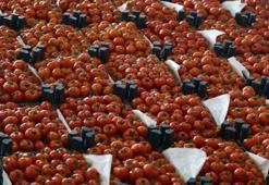 Domates için ilk imzalar atıldı