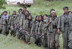Yeni Şafak yazarından bomba gibi PKK iddiası
