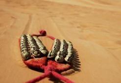 Repertuar Buluşması