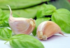 Kalp sağlığına soğan ve sarımsak desteği