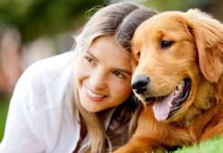 Bakamayacağınız köpeği hediye kabul etmeyin