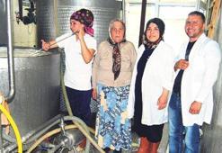 68 yaşında işkadını oldu şimdi 7 kişinin patronu