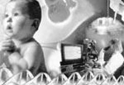 Dev akıl geri döndü