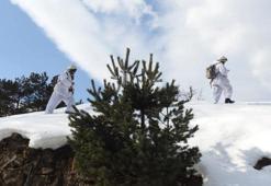 Gümüşhane'de yayla evleri didik didik aranıyor