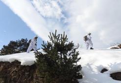 Gümüşhane'de yayla evleri didik didik aranıyor
