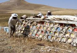 Arap ülkelerinin gözdesi: Karakovan balı